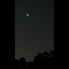 صد بار گفتمت همچین مکن