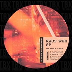PREMIERE: Marwan Sabb - Nattahnam [AURORA RECORDINGS]
