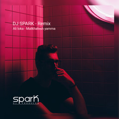 Ali Loka - Matkhafesh Yamma [DJ Spark Remix].mp3