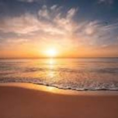 MéliMélo  "Dommage"