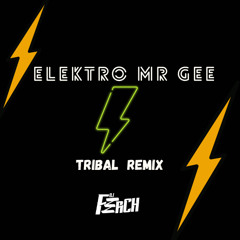 Elektro - Mr Gee...FerCHTRIBAL2025 Free download!