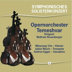 Symphonie der Versöhnung für Streichorchester - 2015 zum hundertjährigen Gedenken an den ersten Weltkrieg: III. Verbrannte Erde