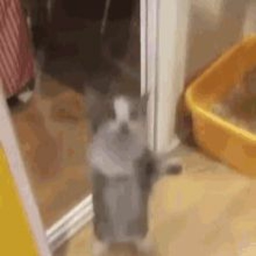 Blooming (NOT MINE https://www.youtube.com/watch?v=KyCcyF1RsN4)