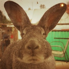 Bitch I'm broke down