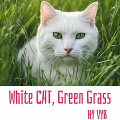 White Cat, Grreen Grass