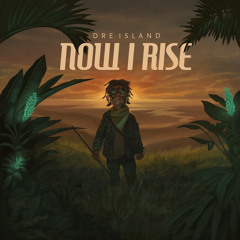 More Love (Dub Fx Remix) [feat. Dub FX]