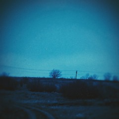 lost in the dark