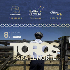 Felipe Bove - Remate Toros del Norte