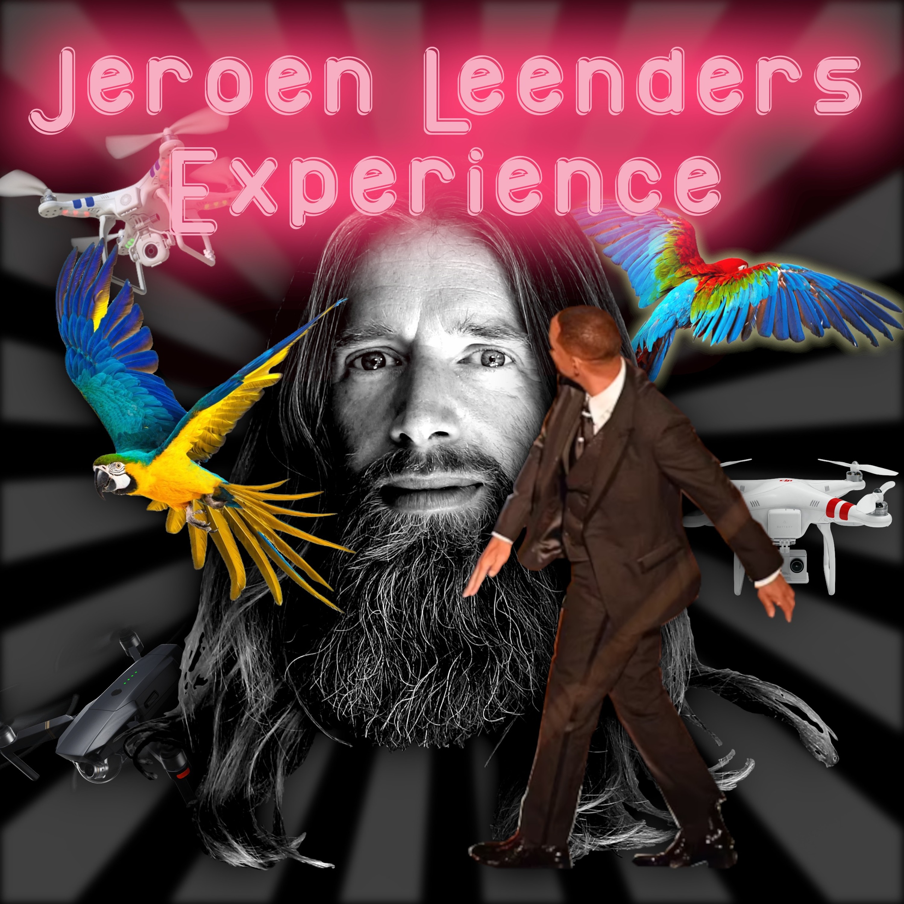 Jeroen Leenders Experience