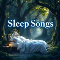 Gentle Night Rest
