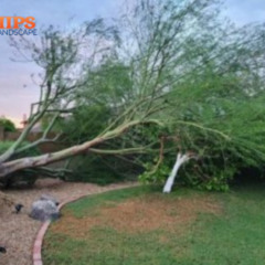 ElevenLabs_2025-11-07T17_10_13_Brian_pre_sp100_s50_sb75_se0_b_m2