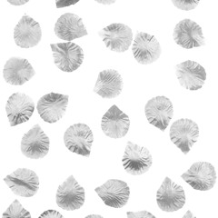 Giūlia Damico "Petali"