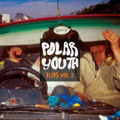 POLAR YOUTH FLIPS VOL II - free download