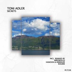 PREMIERE: Toni Adler - Secrets (Hamoon & Amiralee Remix) [Polyptych]