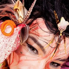 Bjork - Hyperballad (Wetworks Hype Sugarcube Ballad) FREE DOWNLOAD [BOOTLEG]
