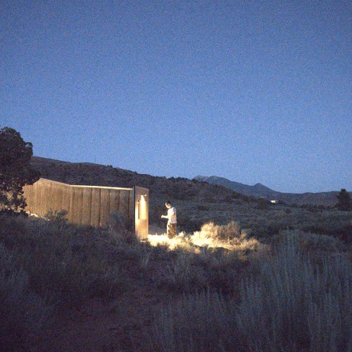 caught in the headlights