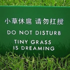 Tiny Grass - collab with Donna Devine