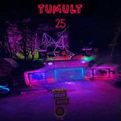 Frau Lichtenberg @Tumult Festival 2025 (Bollerwiesen)