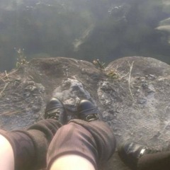 #sadisfaction^_^zombie