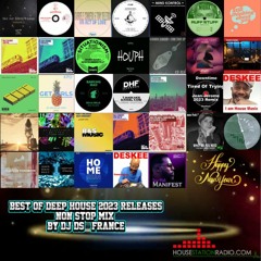 BEST OF DEEP HOUSE  2023 RELEASES NON STOP MIX BY DJ DS (FRANCE)