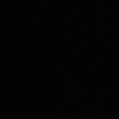 Dear diary, I've survived another day. It all started with..