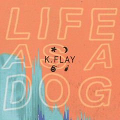K.Flay