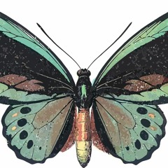 Cicada 3301