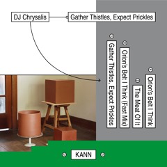 DJ Chrysalis »Gather Thistles, Expect Prickles« (KANN51)