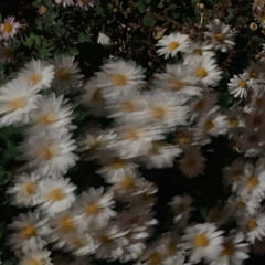 나의밤에