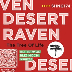1.Desert Raven - Seneh Feat. SoulPacifica