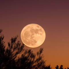 Full Moon Inspiration Chapter II #Podcast 08