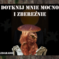 Słoneczny kwik