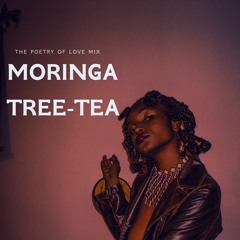 Moringa Tree - Tea
