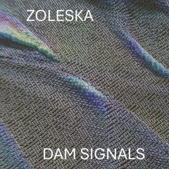 Dam Signals