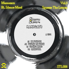 PREMIERE: B1. Mamosato - Silence Mood (STL006)