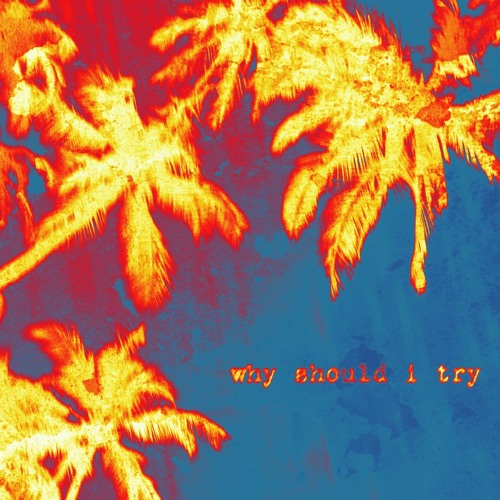 Why Should I Try (prod. michael rose x ayoleybeats)