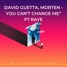 David Guetta, Morten You Can’t Change Me” Featuring RAYE (Micky Stardust Remix)