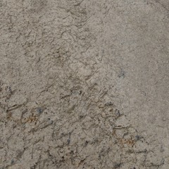 mud