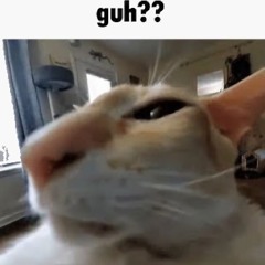 Guh