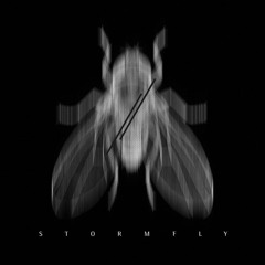 STORMFLY