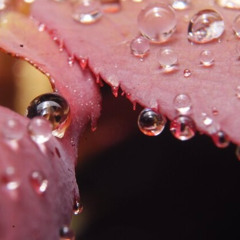 <3 beautiful breaks pt. 5 <3