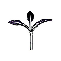 Sapling - Hit The Jig (War Dub) FREE DL