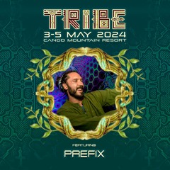 Prefix Recorded Live At Tribe Festival 2024