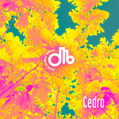 Cedro  / downtempo, baby / # 78