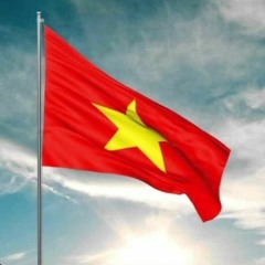 Sẽ Chiến Thắng - AnhVu Remix.mp3