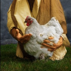 Safe Under His Wings