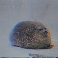 CHÚ HẢI CẨU  Jackiie Chan 16 Nigg Dissin Prod TeđyChilla