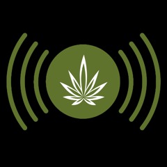 Podcast Wolne Konopie Odcinek 5 Dlaczego legalizacja jest lepsza od depenalizacji ?