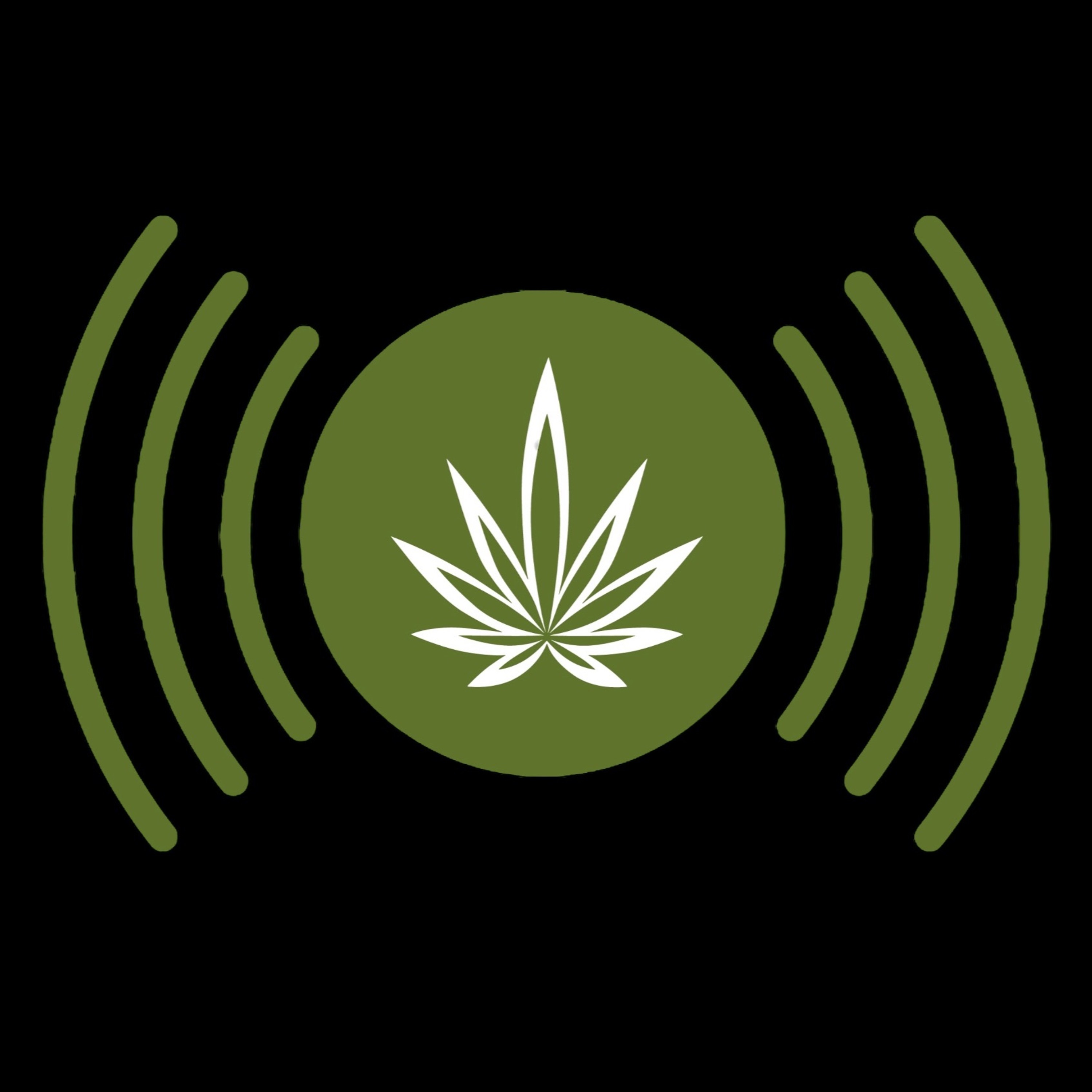 Podcast Wolne Konopie Odcinek 5 Dlaczego legalizacja jest lepsza od depenalizacji ?