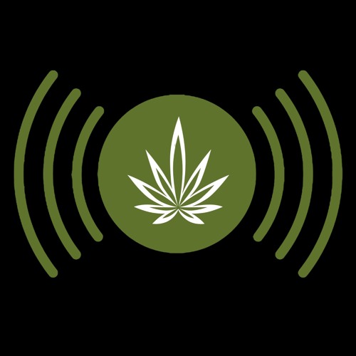 Podcast Wolne Konopie Odcinek 5 Dlaczego legalizacja jest lepsza od depenalizacji ?